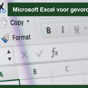 Microsoft Excel Spreadsheet voor gevorderden