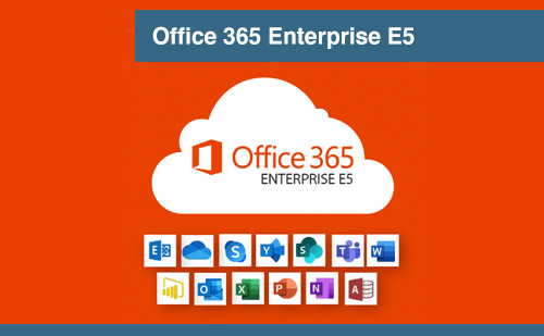 Microsoft / Office 365