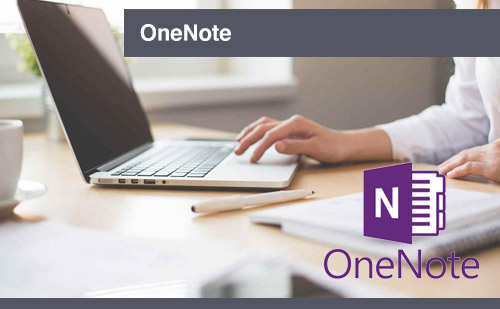 Microsoft OneNote (Engels)