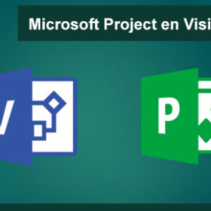 Microsoft Project en Visio